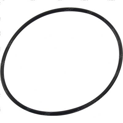 Picture of O-Ring