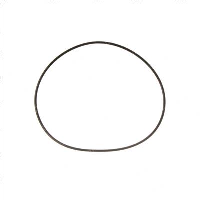 Picture of O-Ring