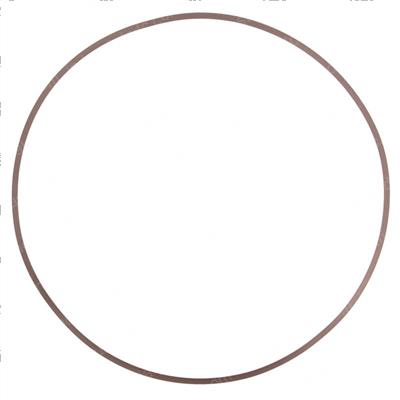 Picture of Ring - Backup