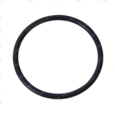 Picture of O-Ring