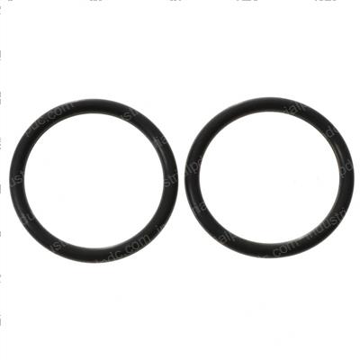 Picture of O Ring