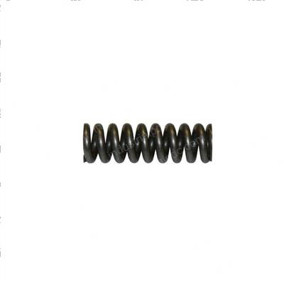 Picture of Spring Coil