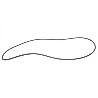 Picture of O-Ring