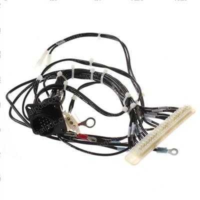 Picture of Harness Assembly