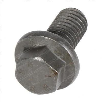 Picture of Bolt