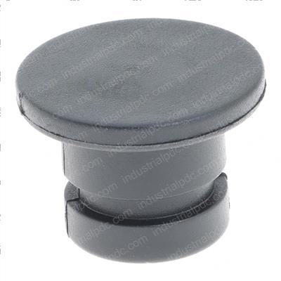 Picture of Plug  Flywheel Housing