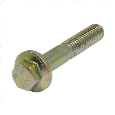 Picture of Flange Screw