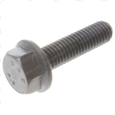 Picture of Bolt