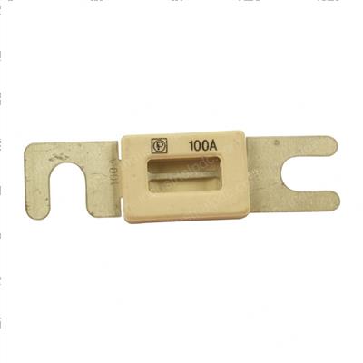 Picture of Fuse 100a