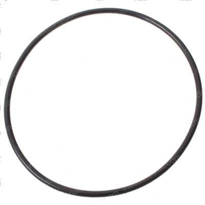 Picture of O-Ring