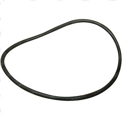 Picture of O-Ring