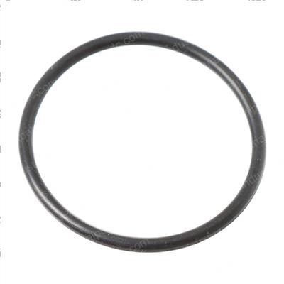 Picture of O-Ring