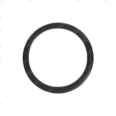 Picture of O-Ring