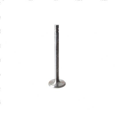 Picture of Valve - Intake