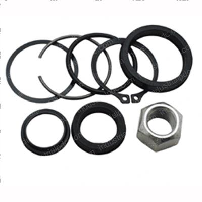 Picture of Seal Kit - Hydraulic Cylinder