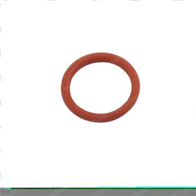 Picture of O-Ring