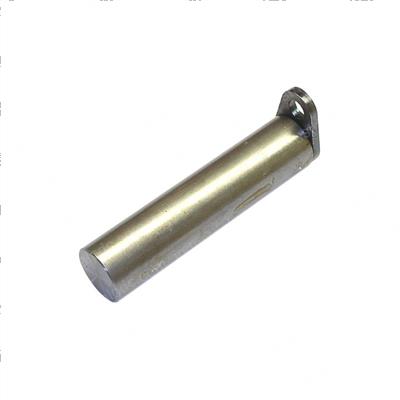 Picture of Bolt