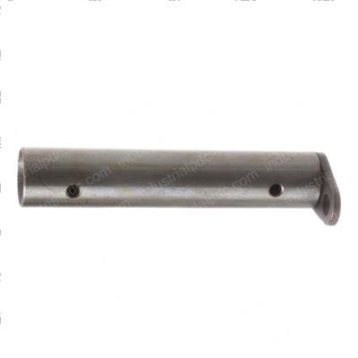Picture of Bolt