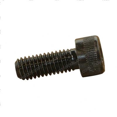 Picture of Bolt