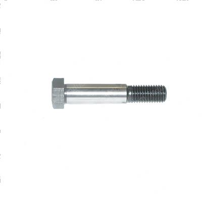 Picture of Bolt