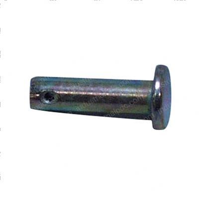 Picture of Pin