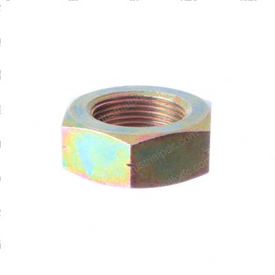 Picture of Nut