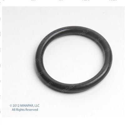 Picture of O-Ring