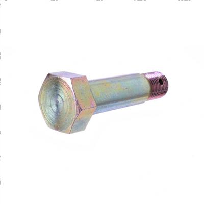 Picture of Bolt