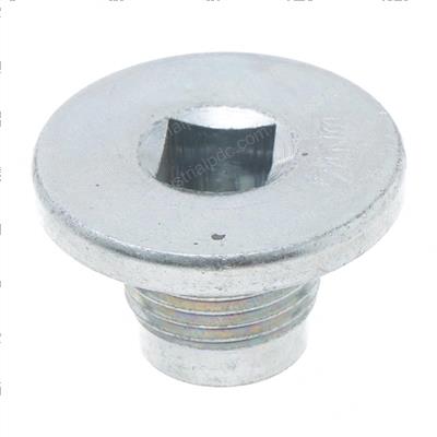 Picture of Threaded Plug