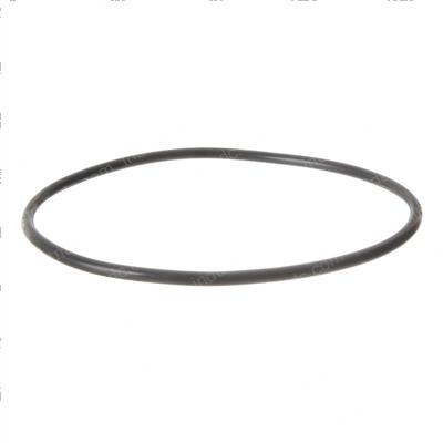 Picture of O-Ring
