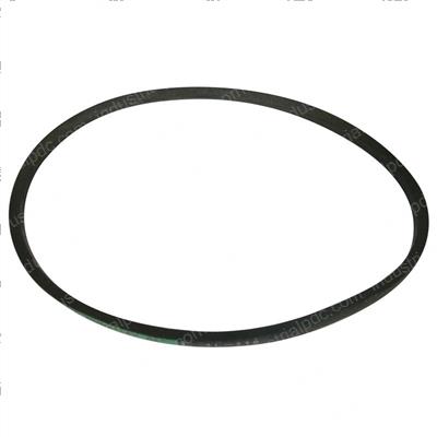 Picture of Belt