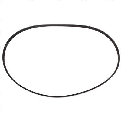 Picture of Belt - Serpentine