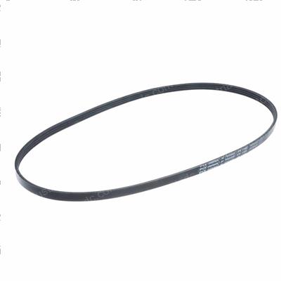 Picture of Belt - Serpentine