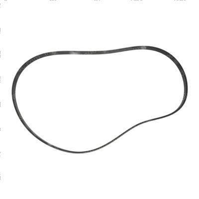 Picture of Belt - Serpentine