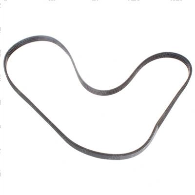 Picture of Belt - Serpentine