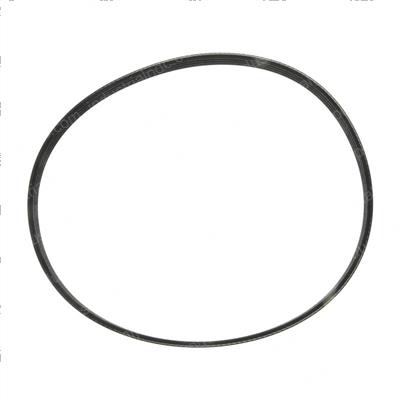 Picture of Belt - Serpentine