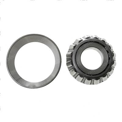 Picture of Bearing - 303