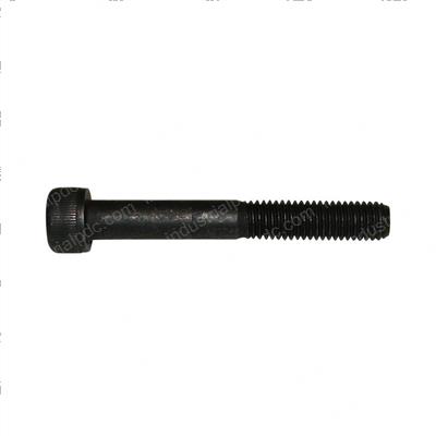 Picture of Screw