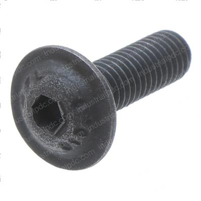 Picture of Screw