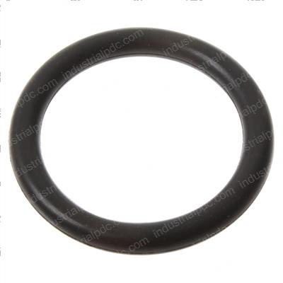 Picture of O-Ring