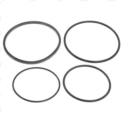 Picture of Rkm Filter Seal Kit