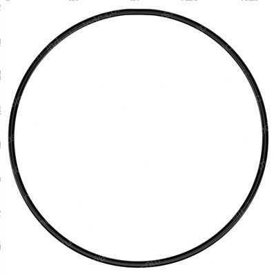 Picture of O-Ring
