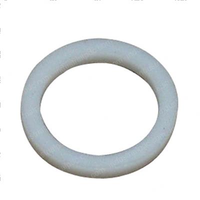Picture of Back Up Ring