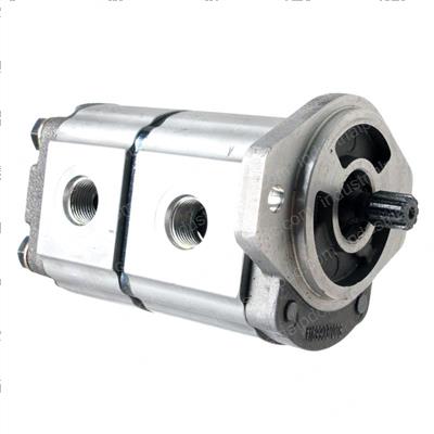 Picture of Pump Assembly - Tandem