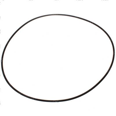 Picture of O-Ring