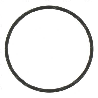 Picture of O-Ring