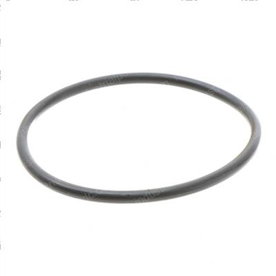 Picture of O-Ring
