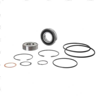Picture of Bearing Kit