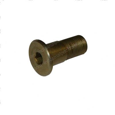 Picture of Bolt - Special