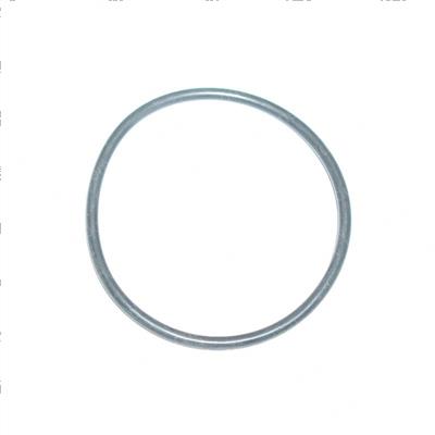 Picture of O-Ring